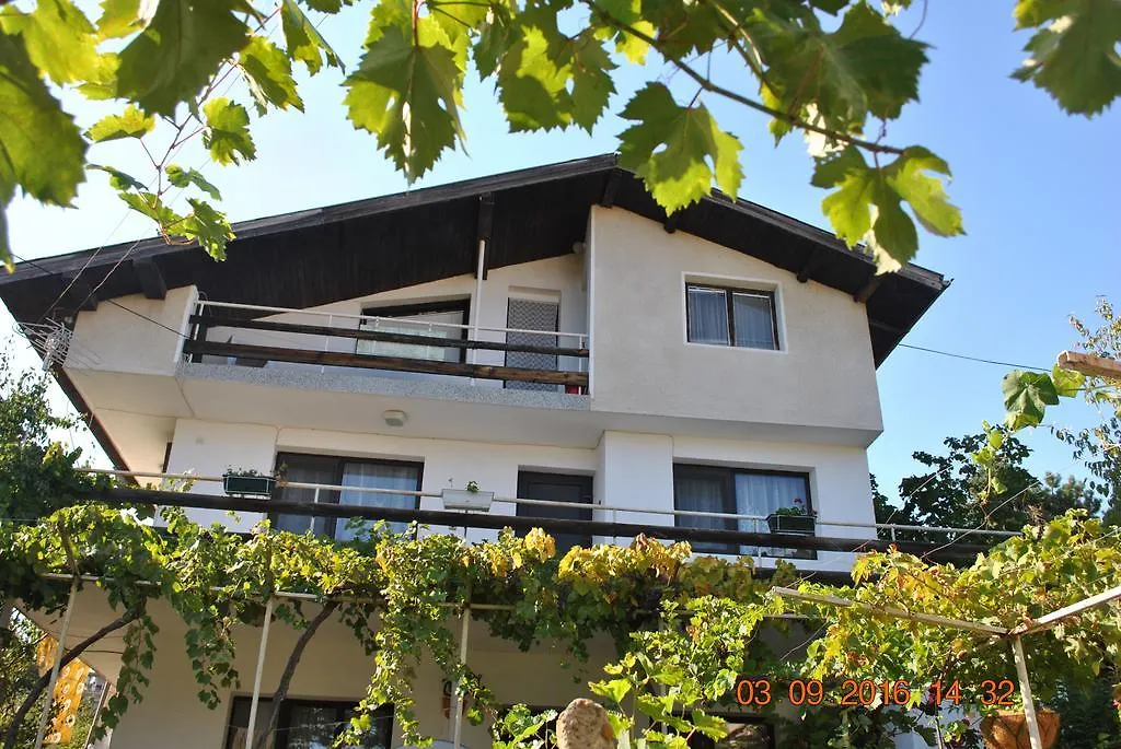 Guest House Palma-1