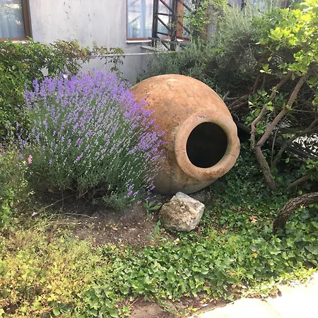 Villa Elfi-2