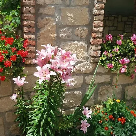 Villa Nasco-3